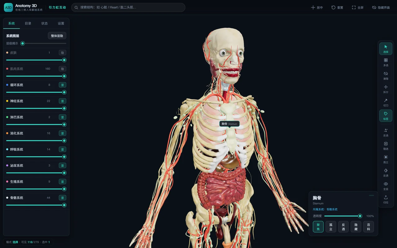 Online 3D anatomy viewer with anatomical structures and viewing tools